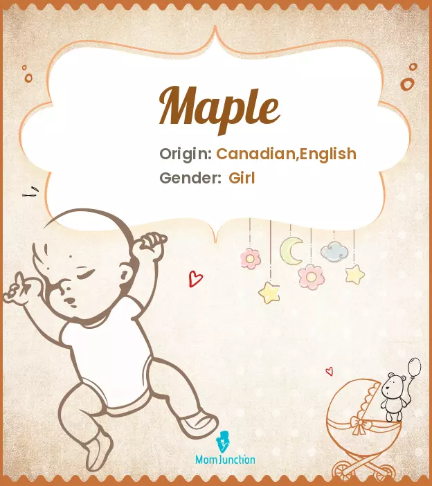 Explore Maple: Meaning, Origin & Popularity_image