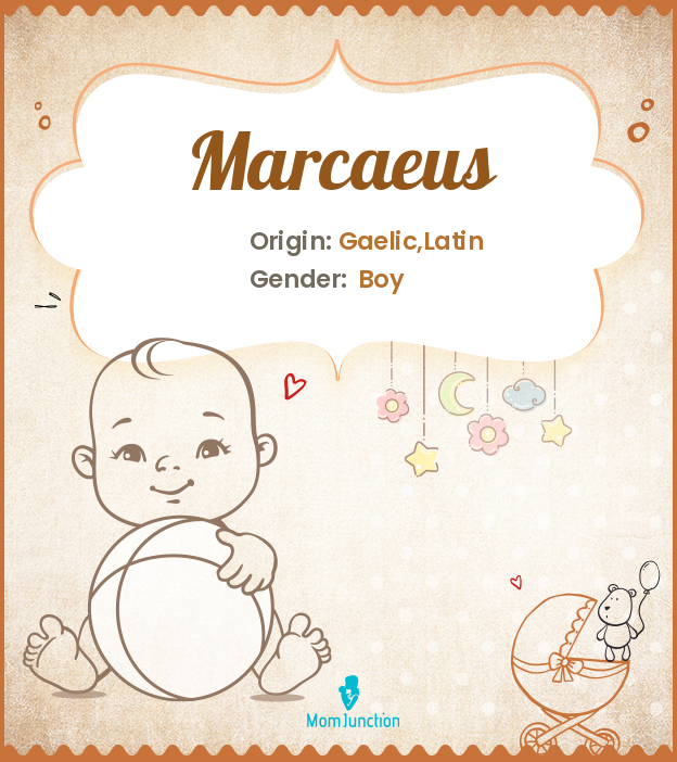 marcaeus