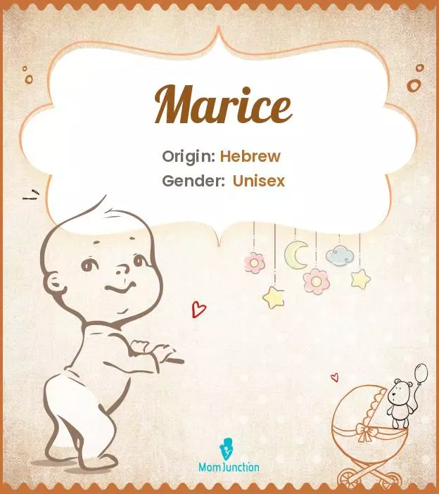 Explore Marice: Meaning, Origin & Popularity_image