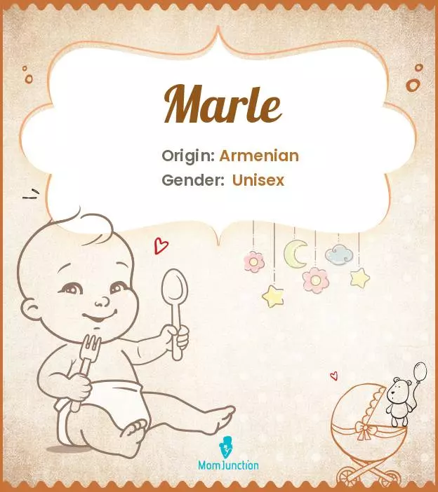 Baby Name Marle Meaning, Origin, And Popularity