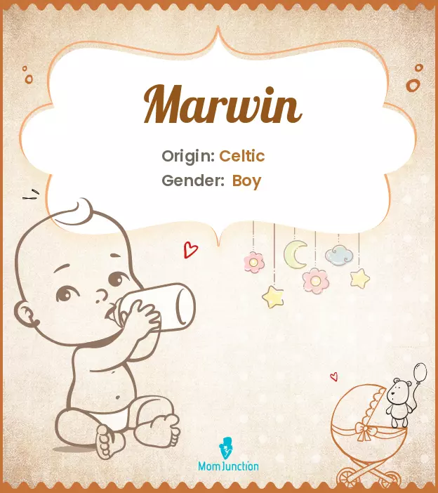 Explore Marwin: Meaning, Origin & Popularity | MomJunction