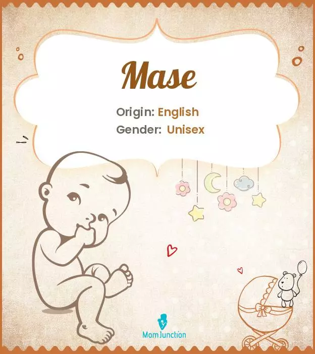 Explore Mase: Meaning, Origin & Popularity_image