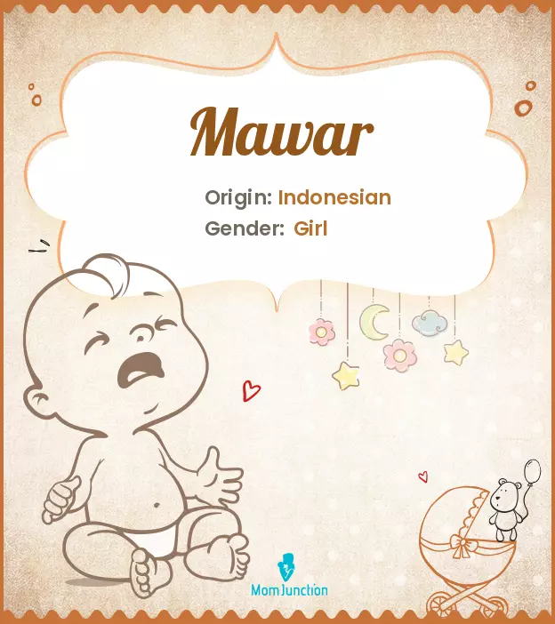 Explore Mawar: Meaning, Origin & Popularity_image