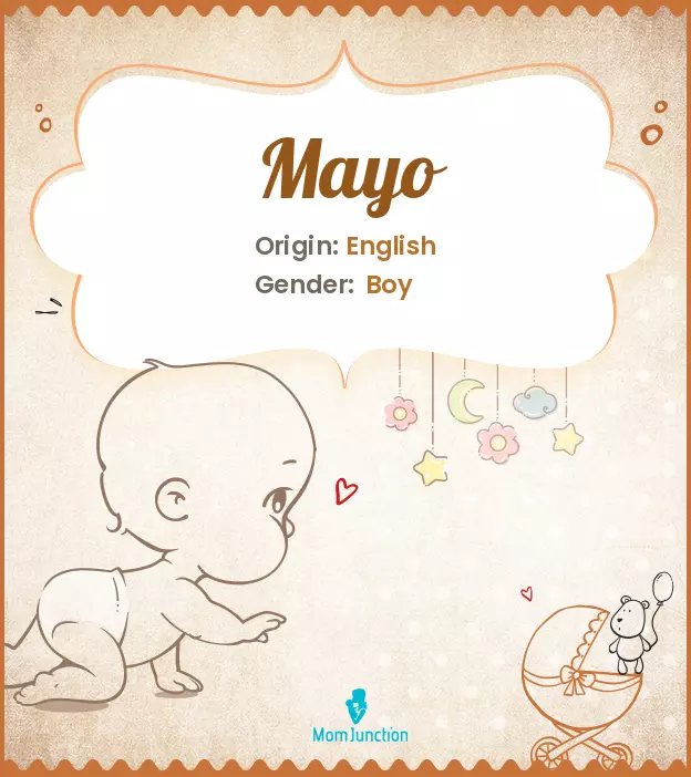 Explore Mayo: Meaning, Origin & Popularity | MomJunction