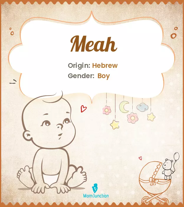 Explore Meah: Meaning, Origin & Popularity_image