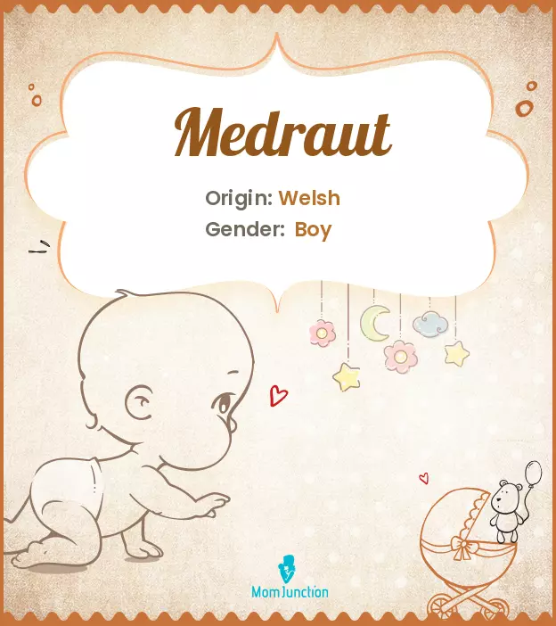 Baby Name medraut Meaning, Origin, And Popularity