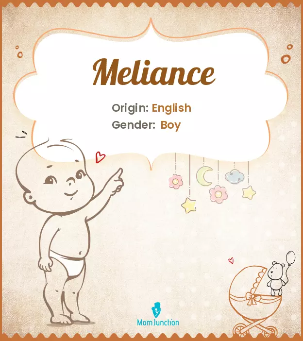 meliance_image