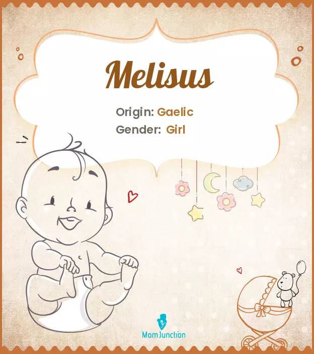 melisus_image