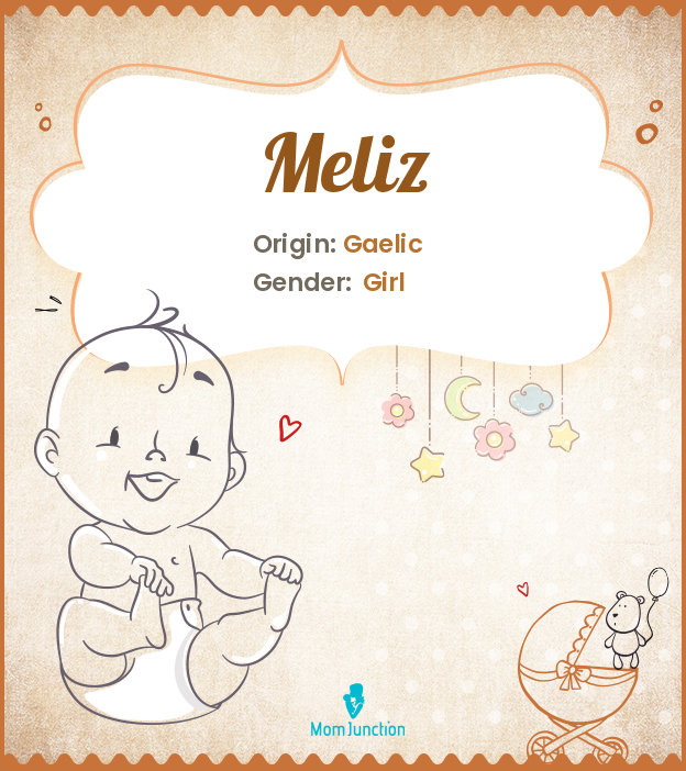 meliz