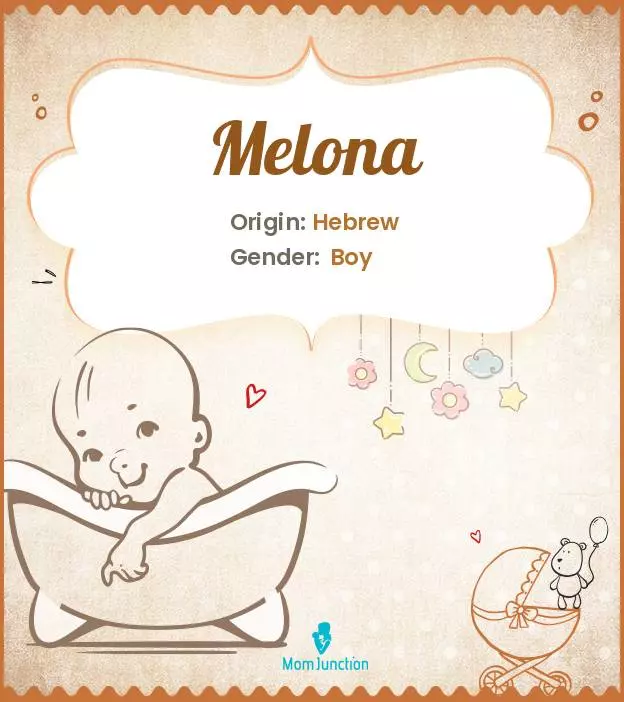 Explore Melona: Meaning, Origin & Popularity | MomJunction
