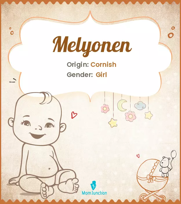 Melyonen_image