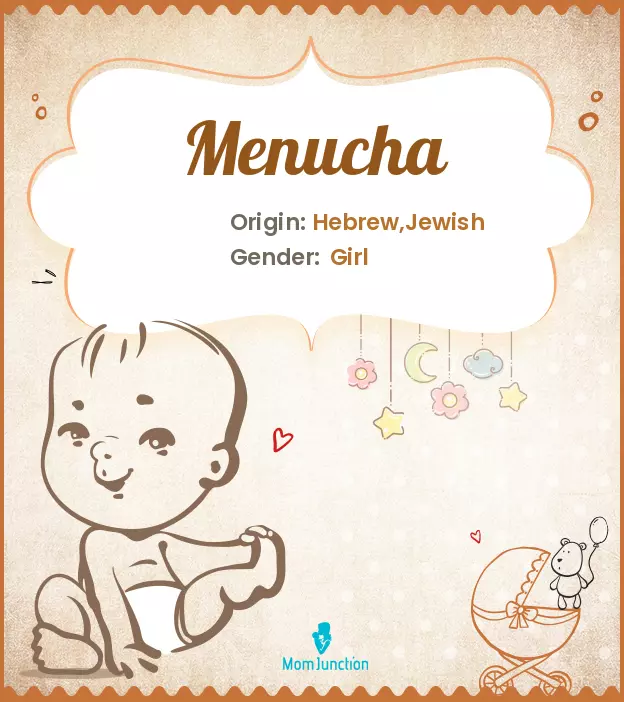 Menucha Name Meaning, Origin, History, And Popularity ...