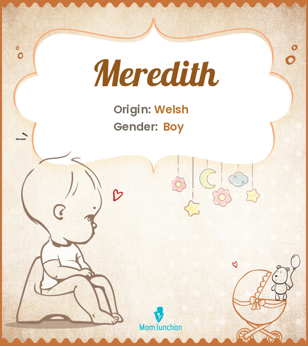 meredith
