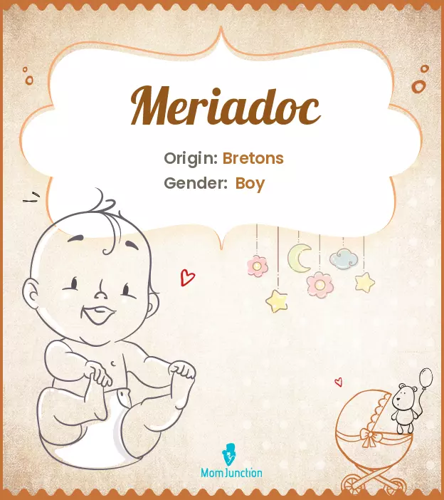 Meriadoc_image