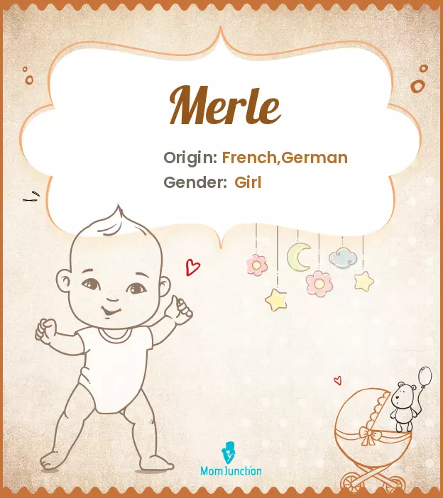 Explore Merle: Meaning, Origin & Popularity_image