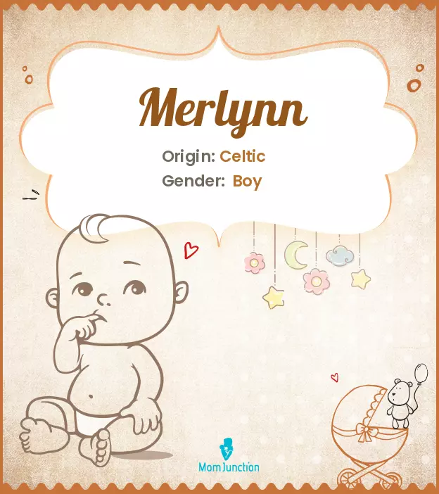 Merlynn_image