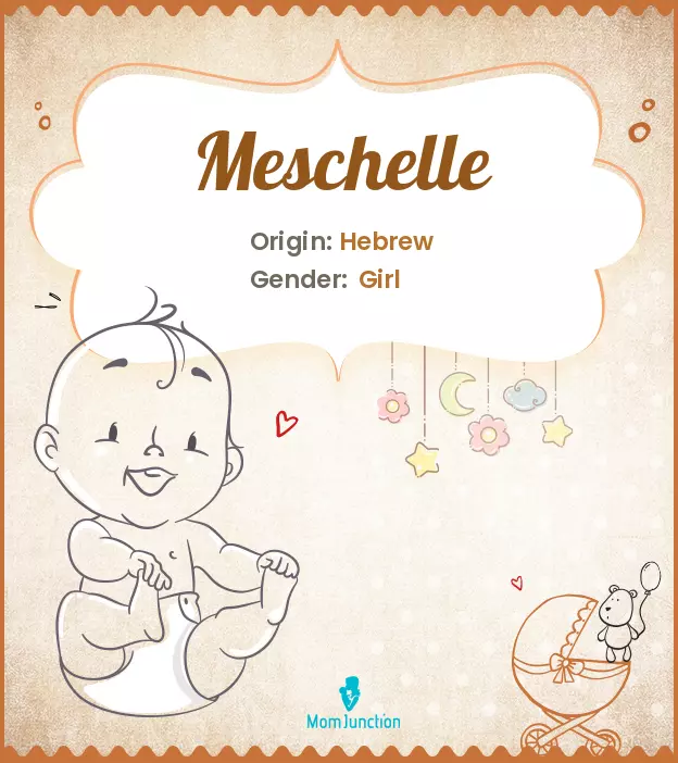 Baby Name meschelle Meaning, Origin, And Popularity