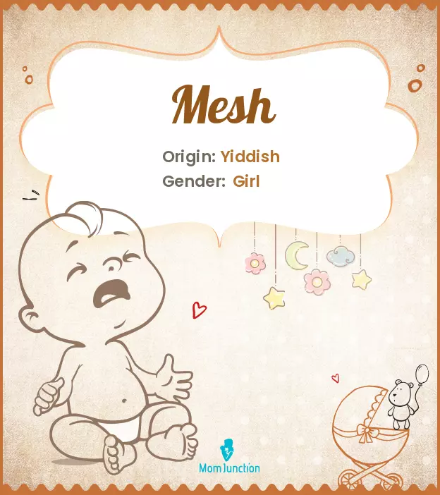 Explore Mesh: Meaning, Origin & Popularity | MomJunction