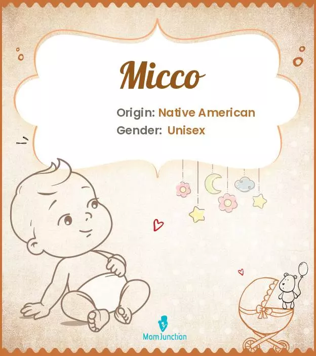 Baby Name Micco Meaning, Origin, And Popularity