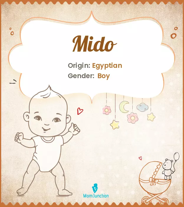 Explore Mido: Meaning, Origin & Popularity | MomJunction