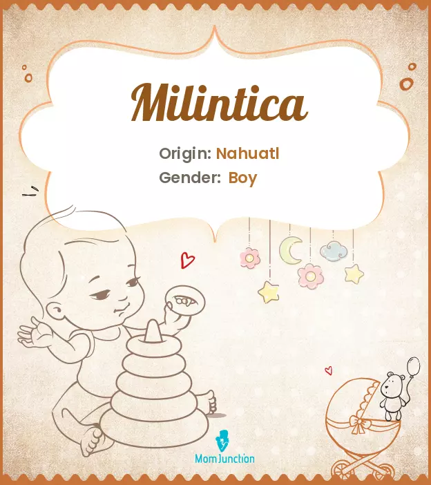 Milintica_image