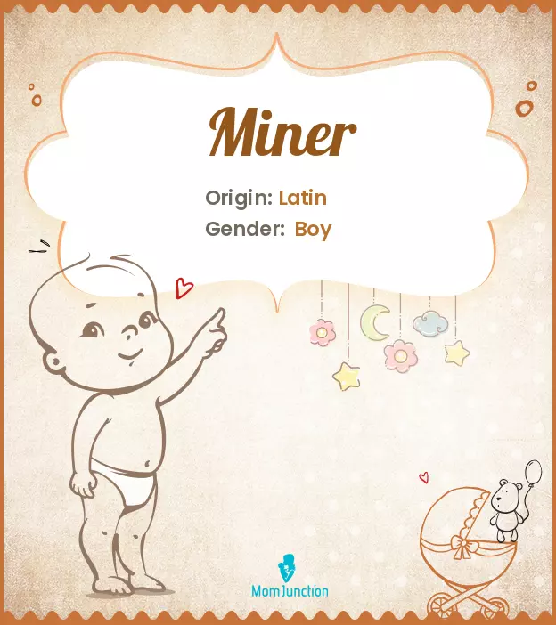 Explore Miner: Meaning, Origin & Popularity | MomJunction