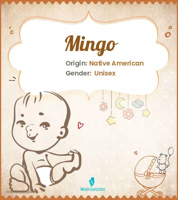 Baby Name Mingo Meaning, Origin, And Popularity