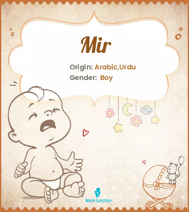 Explore Mir: Meaning, Origin & Popularity_image