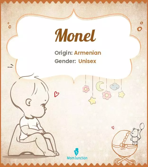Baby Name Monel Meaning, Origin, And Popularity