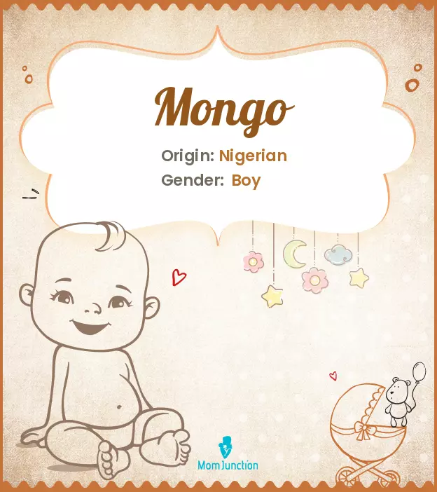 Explore Mongo: Meaning, Origin & Popularity | MomJunction