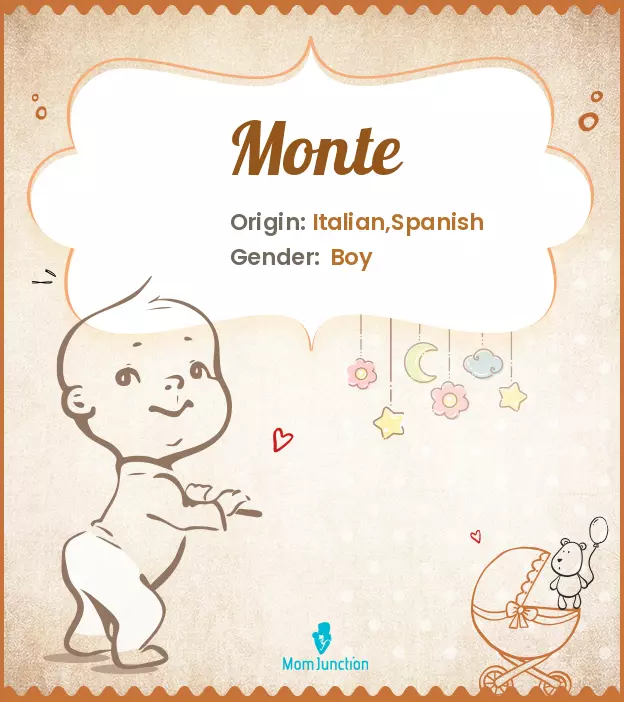 Explore Monte: Meaning, Origin & Popularity | MomJunction