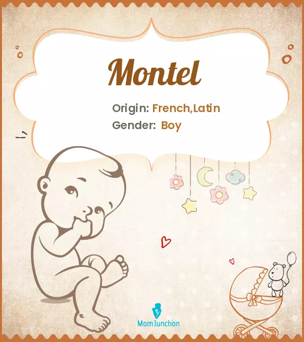 Explore Montel: Meaning, Origin & Popularity | MomJunction