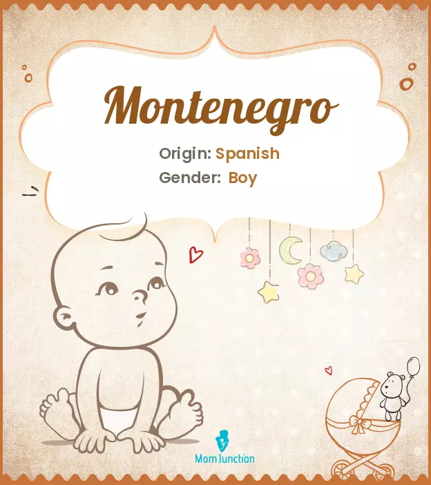 montenegro_image