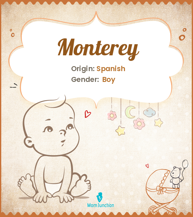 Monterey Name Meaning, Origin, History, And Popularity MomJunction