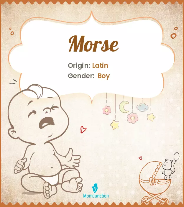 Explore Morse: Meaning, Origin & Popularity | MomJunction