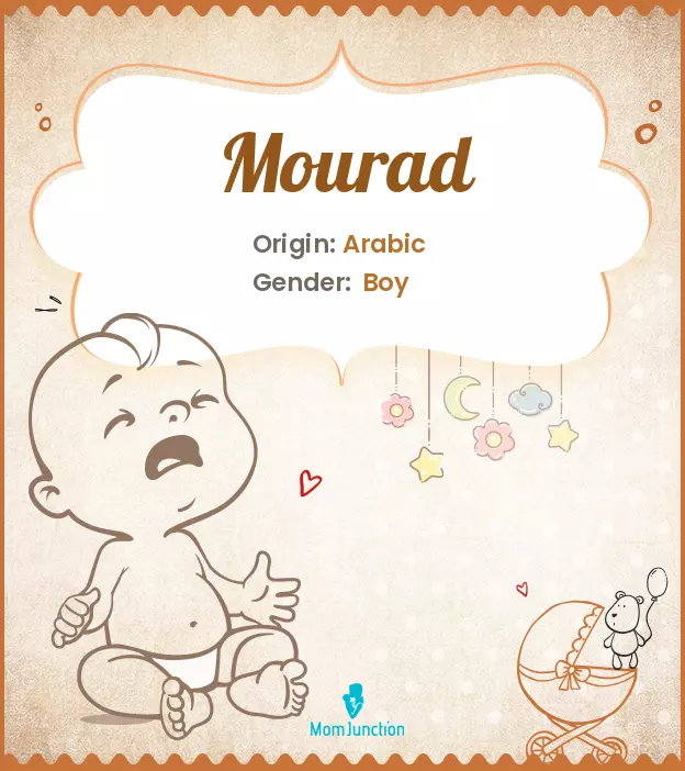 Explore Mourad: Meaning, Origin & Popularity | MomJunction