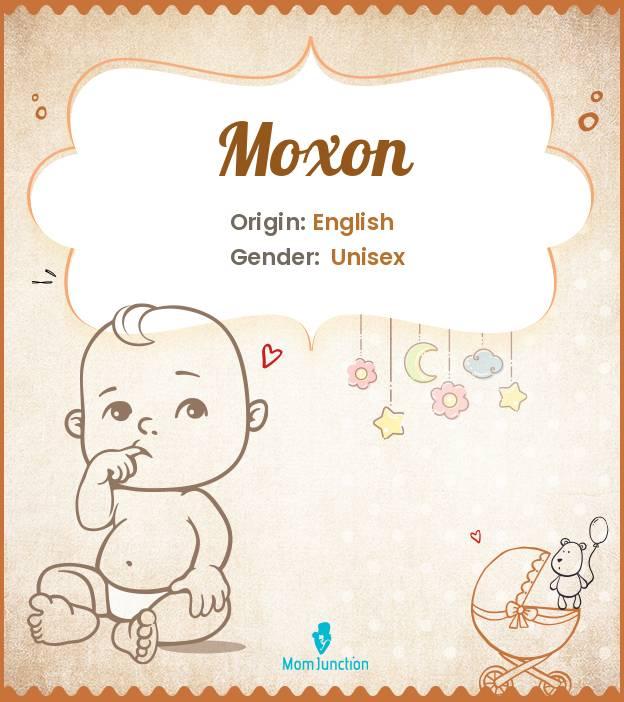 Explore Moxon: Meaning, Origin & Popularity_image