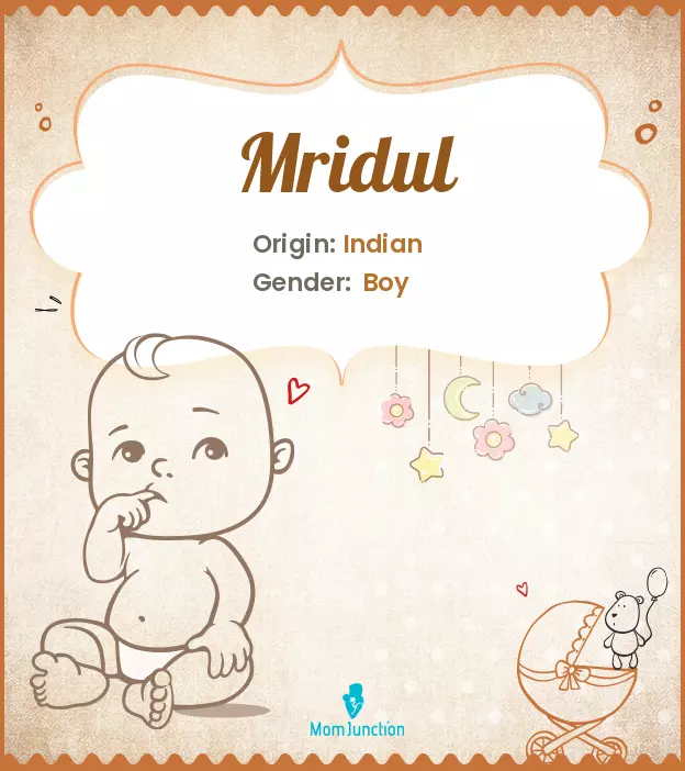 Explore Mridul: Meaning, Origin & Popularity_image