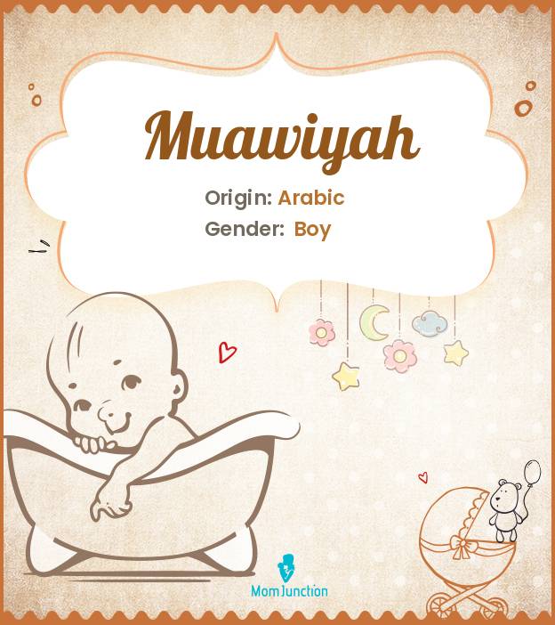 Muawiyah