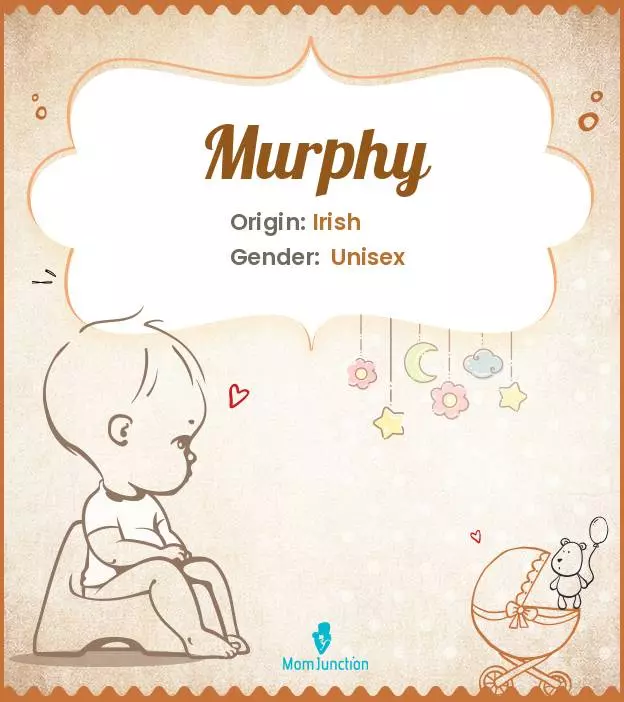 Explore Murphy: Meaning, Origin & Popularity | MomJunction