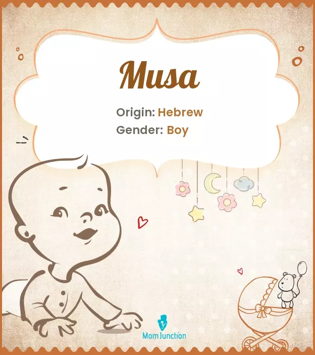 Musa: Name Meaning, Origin, History, And Popularity | MomJunction