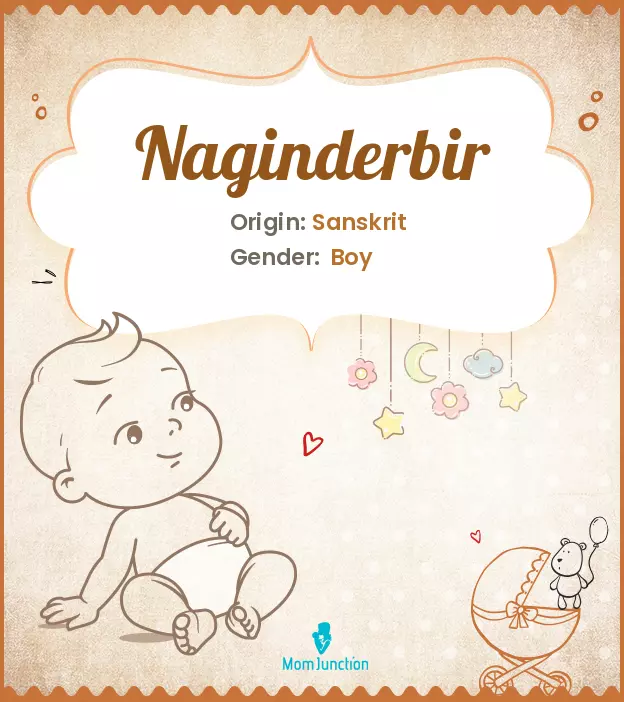 naginderbir_image