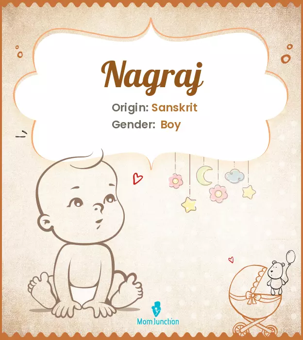 Explore Nagraj: Meaning, Origin & Popularity_image