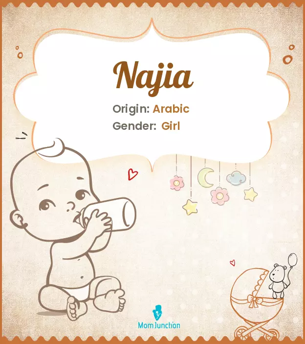 Explore Najia: Meaning, Origin & Popularity | MomJunction