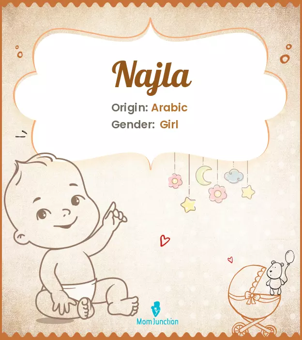 Explore Najla: Meaning, Origin & Popularity | MomJunction