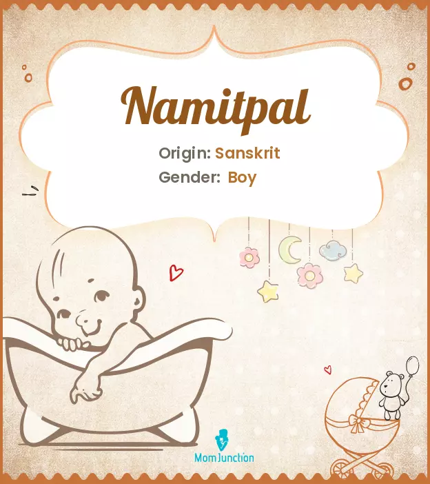 namitpal_image