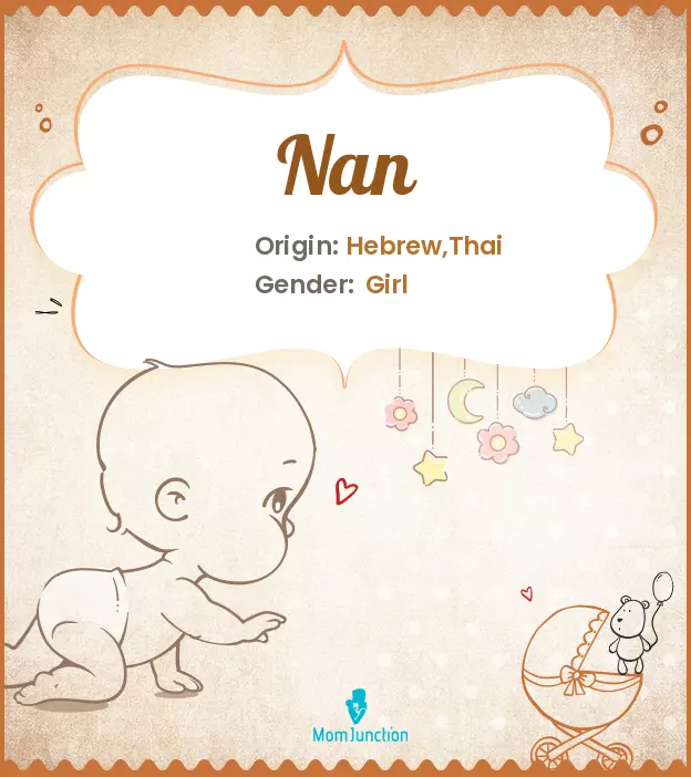 Explore Nan: Meaning, Origin & Popularity | MomJunction