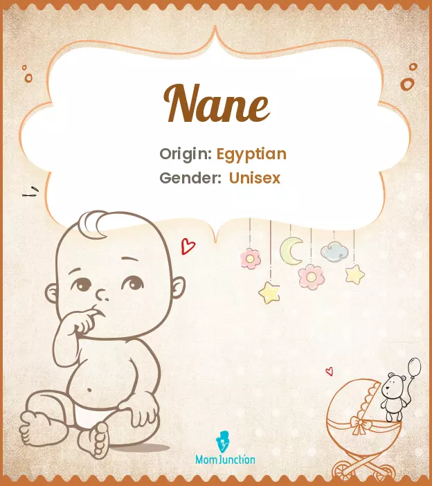 Explore Nane: Meaning, Origin & Popularity_image