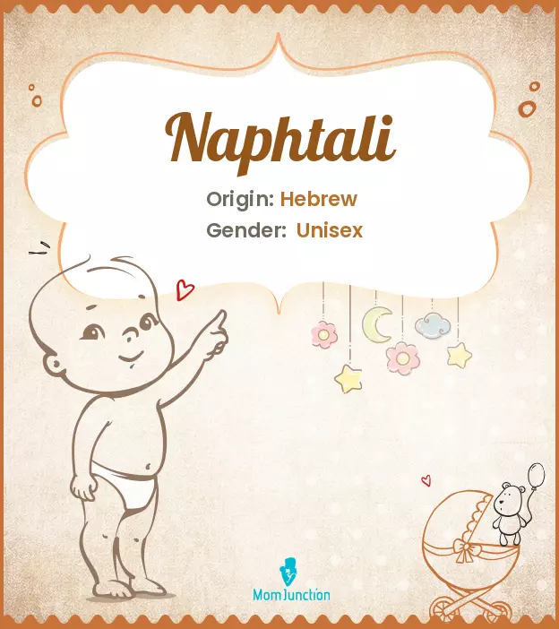 Explore Naphtali: Meaning, Origin & Popularity_image