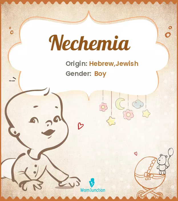 Baby Name Nechemia Meaning, Origin, And Popularity